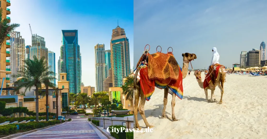 dubai-city-skyline-mit-palmenstrasse-und-kamel-mit-treiber-am-dubaistrand